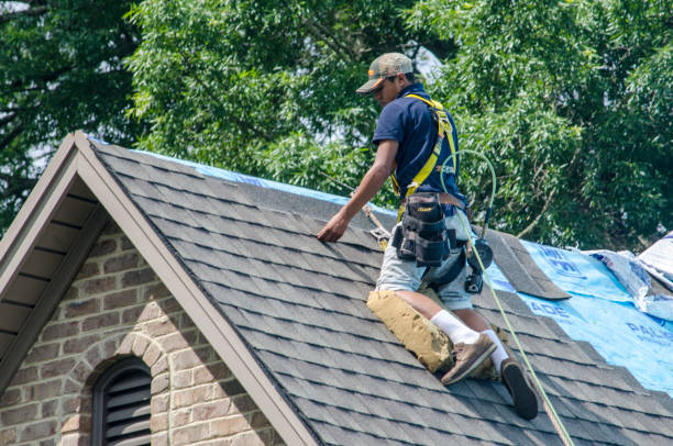Best Storm Damage Roof Repair  in Crestview Hills, KY